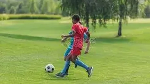 贪玩娱乐 产品 024629 umv